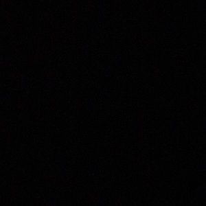 Meet your Posher, Bianca